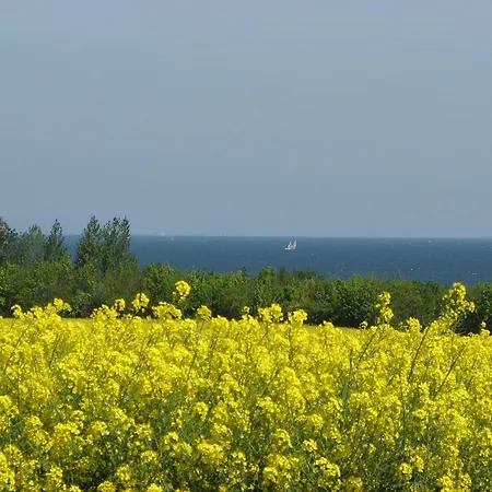 Hering - Abc204 * Wißmar