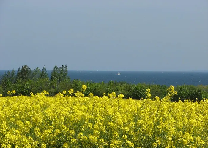 Hering - Abc204 * Wißmar